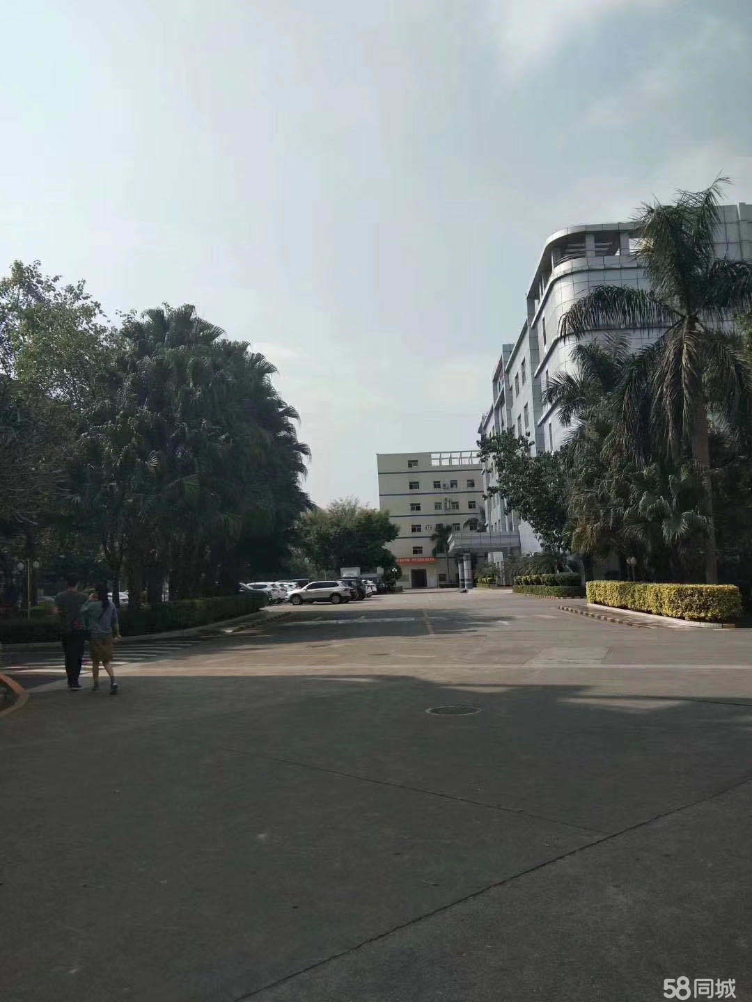 普工、生產(chǎn)工、操作工、裝配工、維修員、包裝工、插件、組長、拉長